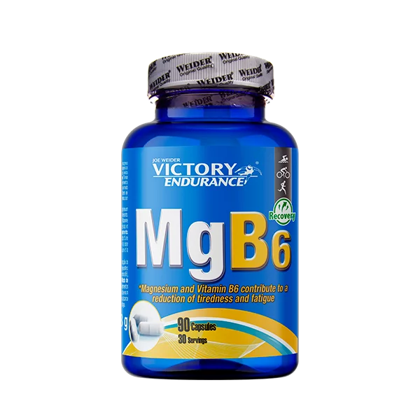 MG B6 [VICTORY ENDURANCE]