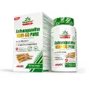 ASHWAGANDHA KSM 66 [GREEN DAY]