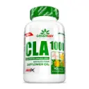 CLA 1000 [GREEN DAY]