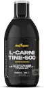 CARNITINA [BIG MAN]