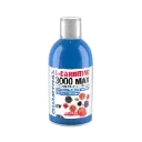 CARNITINA [QUAMTRAX NUTRITION]