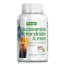 GLUCOSA + CONDRO + MSM [QUAMTRAX ESSENTIALS]